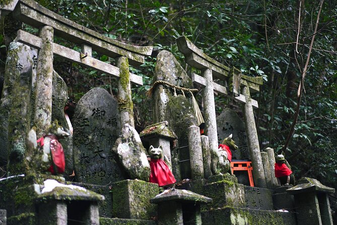 1-Day Kyoto and Nara Highlights Day Trip with a Private Car - Nara Park, Lunch, and Kasuga Taisha: The Family-Friendly Stretch