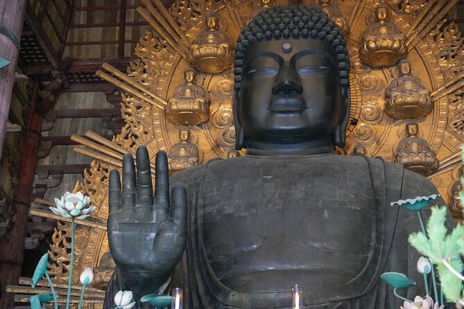 1-Day Kyoto and Nara Highlights Day Trip with a Private Car - Should You Book This Kyoto and Nara Day Trip?