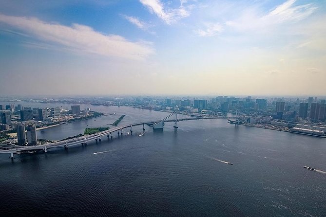 【10 mins】Tokyo Helicopter Tour + Private Car Pickup & Drop off - Who This Tour Fits Best (And Who Might Want Another Option)