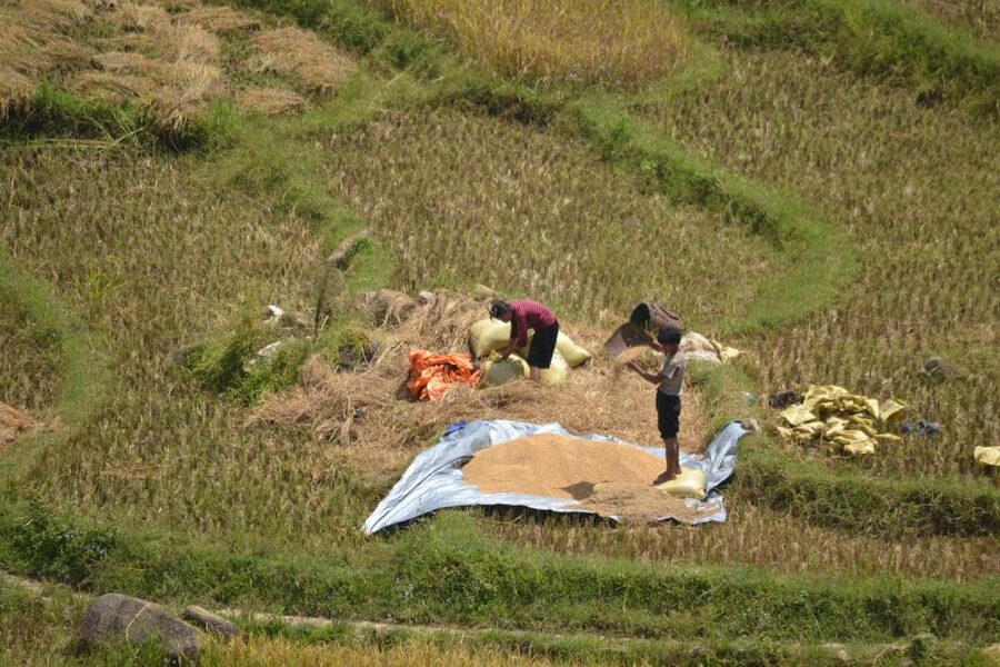 2 Day-2 Night Sapa Trekking: Overnight Train &Limousine Bus - The early-morning arrival in Sapa (Lao Cai station pickup to breakfast)