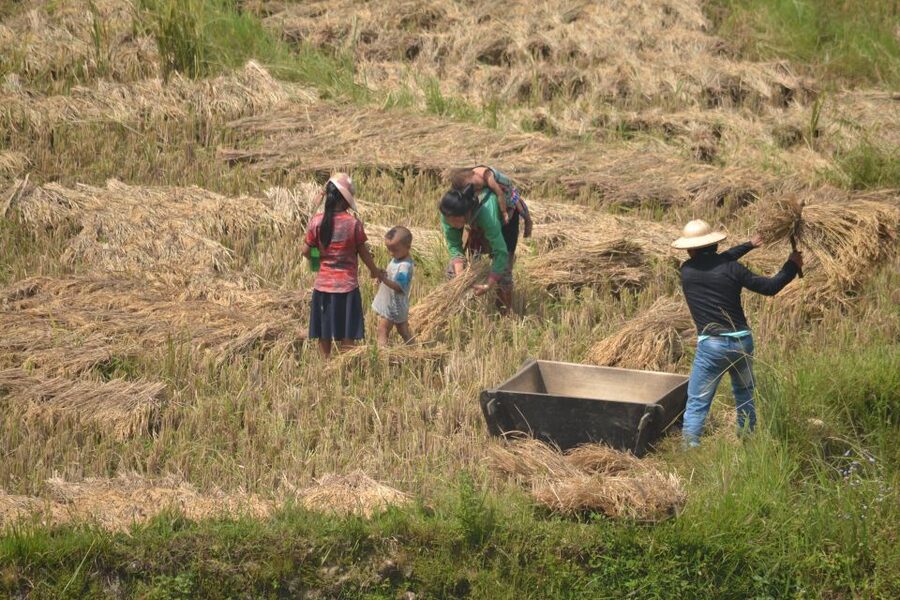 2 Day-2 Night Sapa Trekking: Overnight Train &Limousine Bus - Day 2: free time in Sapa plus the optional Fansipan add-on