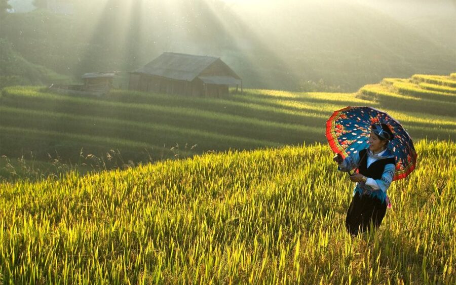 2 Day-2 Night Sapa Trekking: Overnight Train &Limousine Bus - Night train Hanoi → Lao Cai: the adventure part, not the luxury part