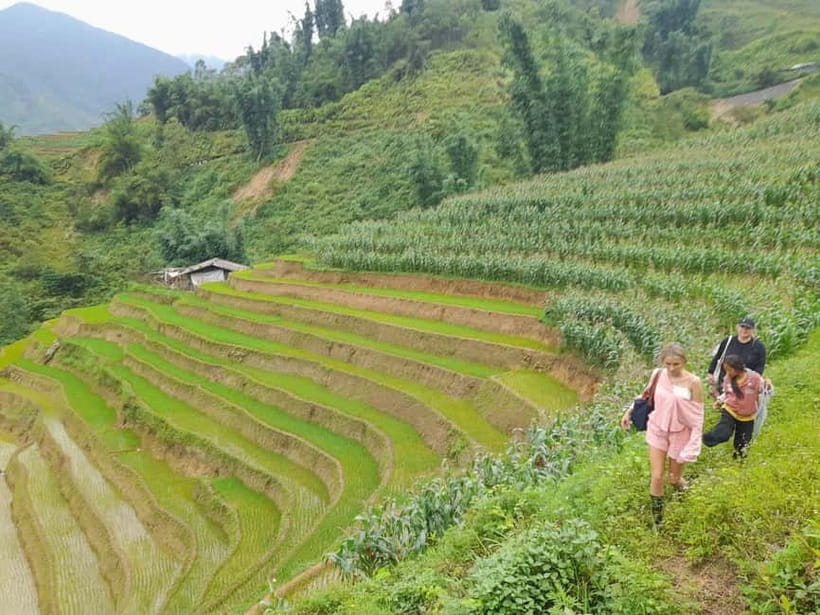 2-Day Sa Pa Ethnic Homestay Tour & Trek with Limousine Bus - Day 2: Bamboo forest, rice paddies, and Giang Ta Chai Bridge