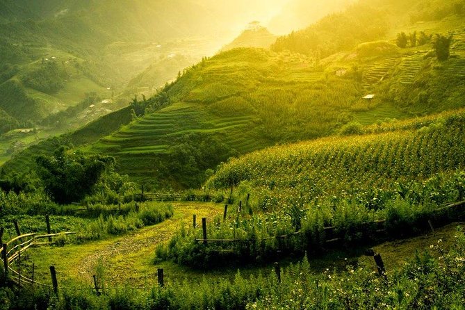 2 Days 1 night Sapa Tour from Hanoi by Limousine/Sleeper bus - Why This 2D1N Sapa Plan Makes Sense (Even If You’re Short on Time)