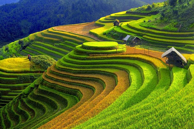 2 Days 1 night Sapa Tour from Hanoi by Limousine/Sleeper bus - Your One Night in Sapa: 3-Star Comfort and a Real Base for Tomorrow