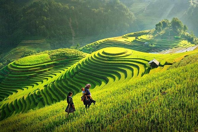 2 Days 1 night Sapa Tour from Hanoi by Limousine/Sleeper bus - Price and Logistics: $149.99 Per Person, and How to Judge If It Fits You