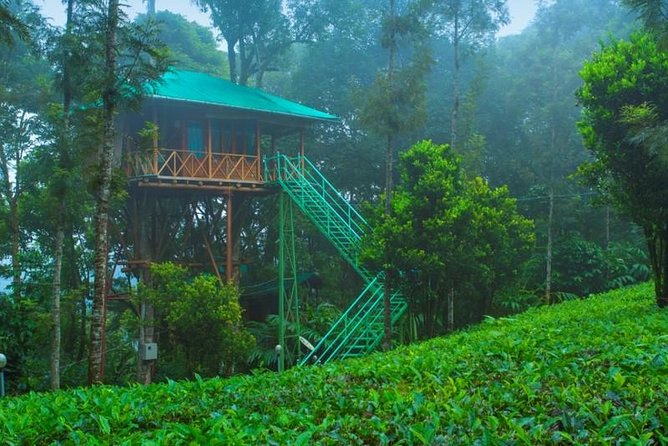 2 Nights Munnar Treehouse Escape with Private Car- Iris Holidays - Treehouse sleep in Munnar with a chauffeur that drives, not chats