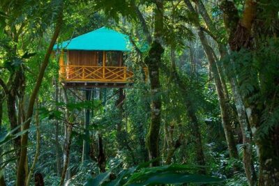 2 Nights Munnar Treehouse Escape with Private Car- Iris Holidays - Day 1 from Kochi to Munnar: waterfalls on the road and tea-garden stops