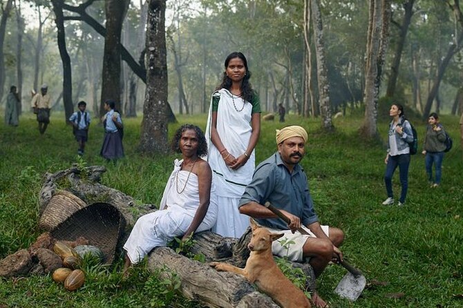 5 Days Kerala Tour with Private Car Houseboat Munnar and Thekkady - Key highlights at a glance