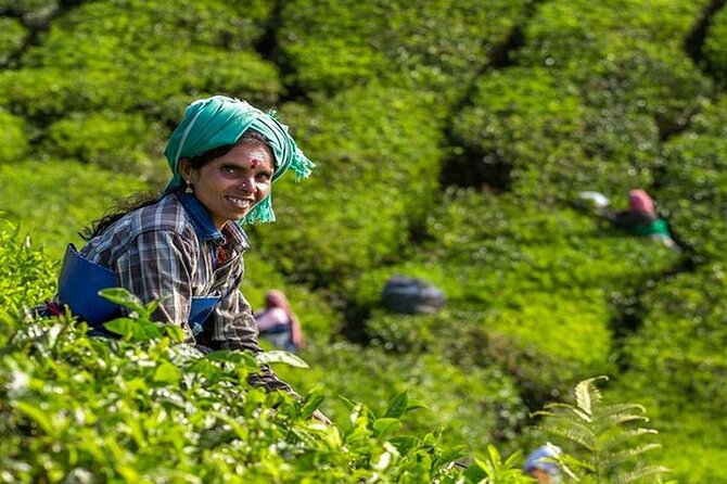 5 Days Kerala Tour with Private Car Houseboat Munnar and Thekkady - Why This Munnar–Thekkady–Backwaters Route Makes Sense