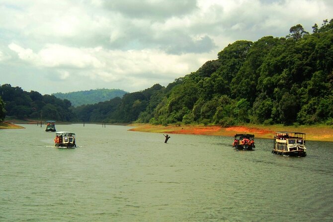 5 Days Kerala Tour with Private Car Houseboat Munnar and Thekkady - Day 3: Thekkady Transfer and Periyar Lake for Wildlife Chances