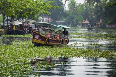 5 Days Kerala Tour with Private Car Houseboat Munnar and Thekkady - Day 1: Kochi Airport to Munnar, With Waterfalls on the Way