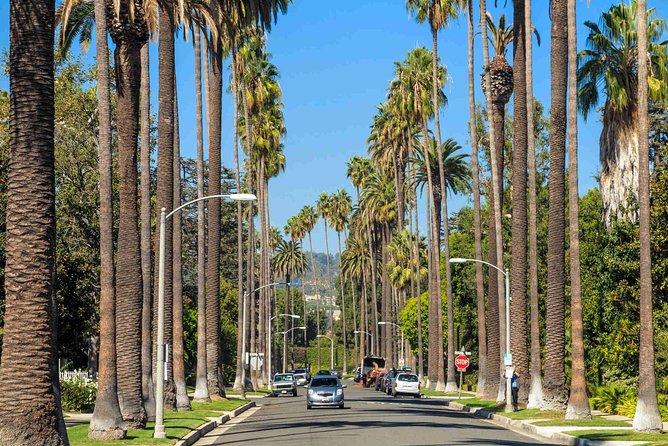 5-Hour Tour , Los Angeles, Hollywood, Beverly Hills, and all over - Hollywood Blvd and the Walk of Fame stops that are worth the time