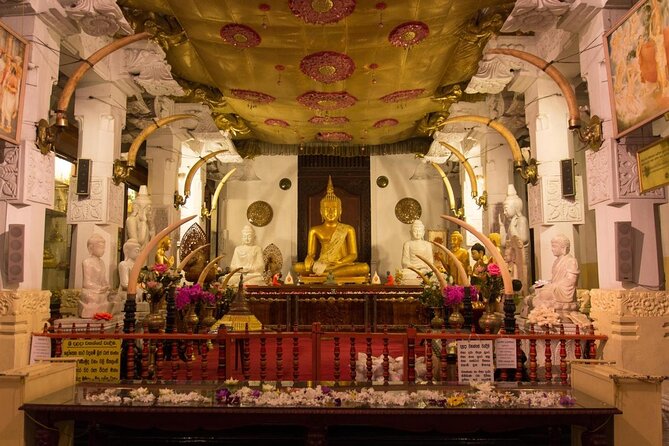 6 Day Round Tour in Sri Lanka With Chauffeur - Key Highlights You’ll Actually Feel Day to Day