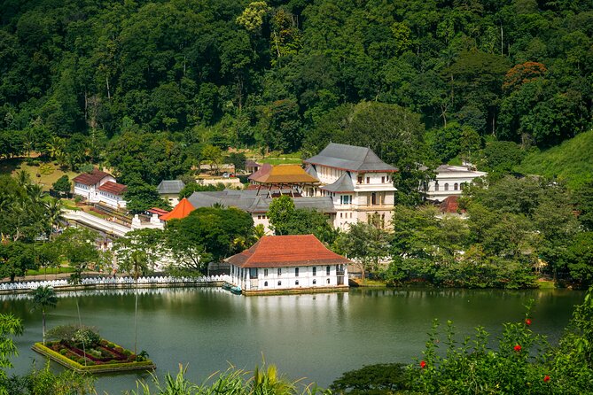 6 Days Private Vehicle with English Speaking Chauffeur - Day 1: Kandy’s Temple, Gardens, and the Lake View
