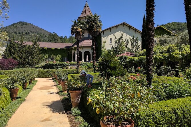 6 Hour Private Wine Country Tour (Sedan, SUV or Limo) - Price and value: covered transport versus wine and food costs