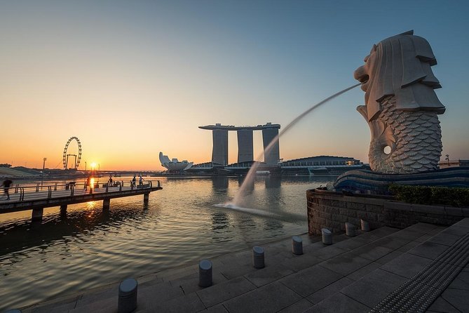 6 Hours - Singapore Tour in Private Car or Minibus with Driver - Pickup, vehicle size, and the practical stuff that changes your day