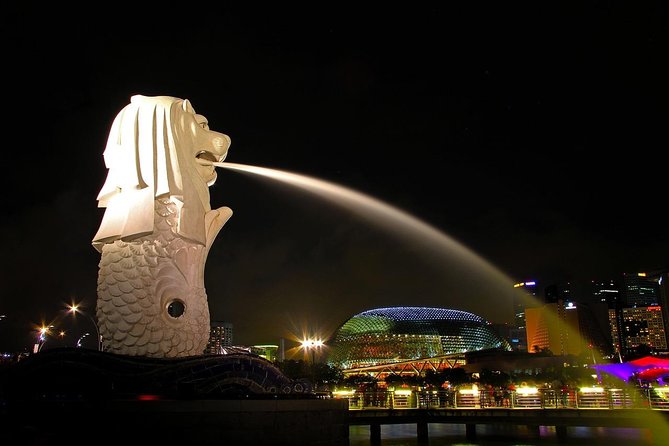 6 Hours - Singapore Tour in Private Car or Minibus with Driver - Mount Faber Park and Henderson Waves: the view leg that feels like a payoff