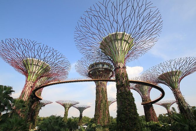6 Hours - Singapore Tour in Private Car or Minibus with Driver - Marina Bay and Gardens by the Bay: icons that earn their hype