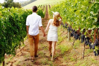 6hr | 12 Passenger Mercedes Limo Sprinter Bus - Domaine Chandon plus the right kind of “included” drinks