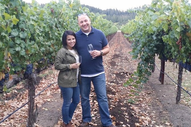 6hr | 12 Passenger Mercedes Limo Sprinter Bus - Lunch at a vineyard-view stop like Brix (and what to expect cost-wise)