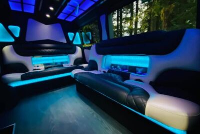 6hr | 7 Passenger Mercedes Sprinter Limo Van Private Tour - Your winery lineup: Opus One, Pestoni Family Estate, and Raymond Vineyards