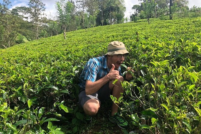 7 Days Sri Lanka Tour Chauffeur Wildlife and Heritage Adventure - Horton Plains and the Nuwara Eliya to Ella train: altitude and steam-era charm