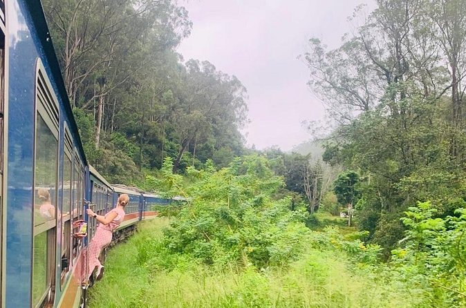 8 Day Private Sri Lanka Tour with Chauffeur - Day 5: The Nanu Oya to Ella train ride, Nine Arches Bridge, and Ravana Ella Falls