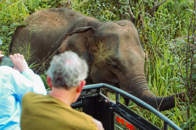 8 Day Private Sri Lanka Tour with Chauffeur - Day 6 to Day 7: Yala Jeep Safari, Galle Fort, Beruwala dinner, and Kosgoda turtles