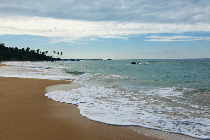 8 Day Private Sri Lanka Tour with Chauffeur - Day 8: Fairway Colombo breakfast and airport departure