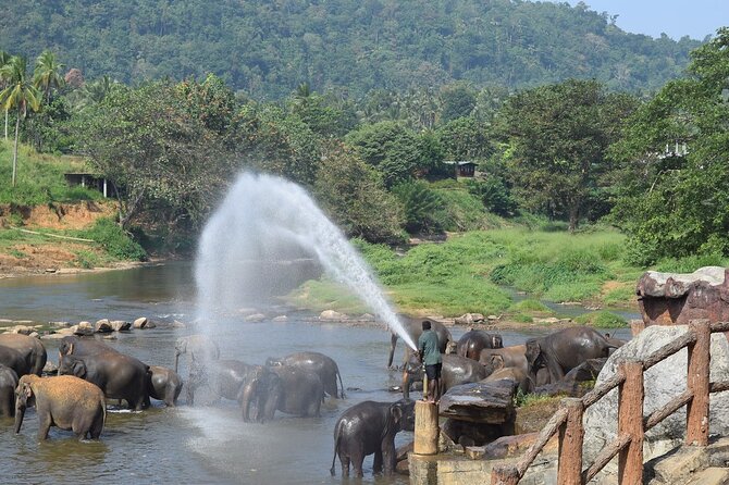 8 Days Adventure Tour with Chauffeur and Air-condition Vehicle - Day 4: Ramboda, tea factory, and the Nanuoya-to-Ella train