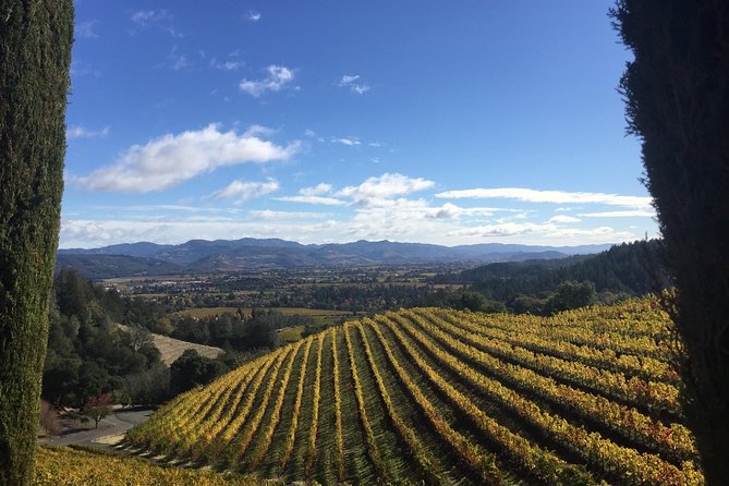8-Hour, Private Limo Wine Tour to Napa from San Francisco - What the Driver Actually Adds to Your Napa Day