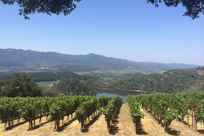 8-Hours Private Limo(up to 8 pass.) Wine Tour of Napa Valley from San Francisco - How the 8 hours usually flow: tastings, photos, and lunch timing