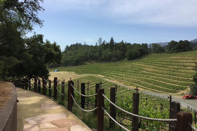 8-Hours Private Limo(up to 8 pass.) Wine Tour of Napa Valley from San Francisco - Inside the limo experience: comfort for groups up to 8