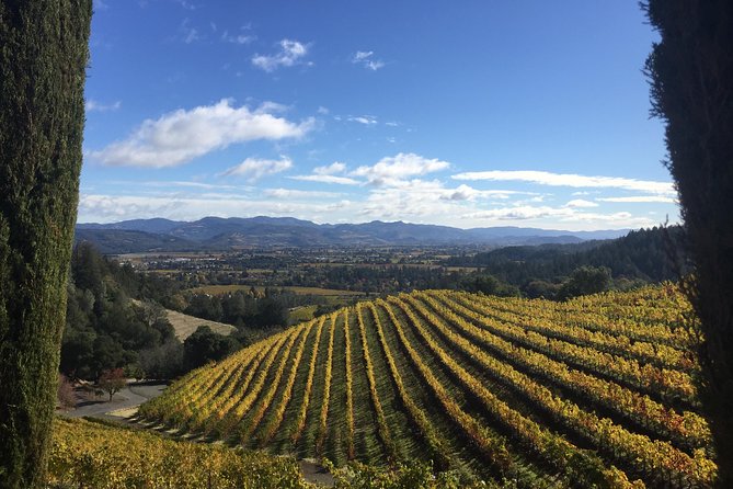 8-Hours Private Limo(up to 8 pass.) Wine Tour of Napa Valley from San Francisco - Price and value: what $1,499 covers and what costs extra