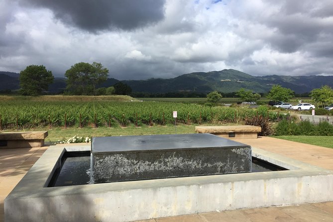 8-Hours Private Limo(up to 8 pass.) Wine Tour of Napa Valley from San Francisco - Best fit for birthdays, groups, and special days (and who should skip it)