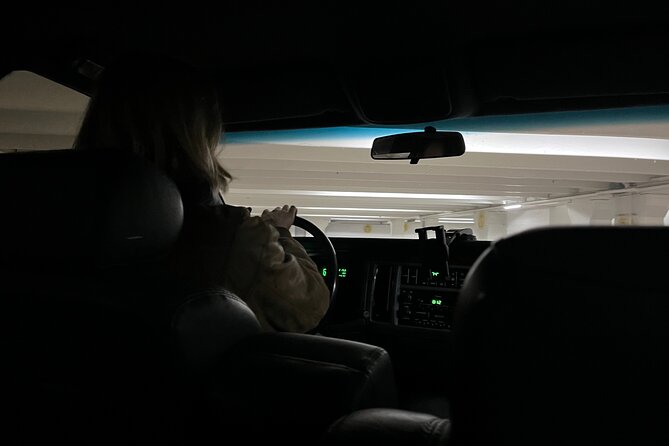 A Star is Torn funeral limo tour of LA - A Funeral Limo Through Hollywood’s Dark Side