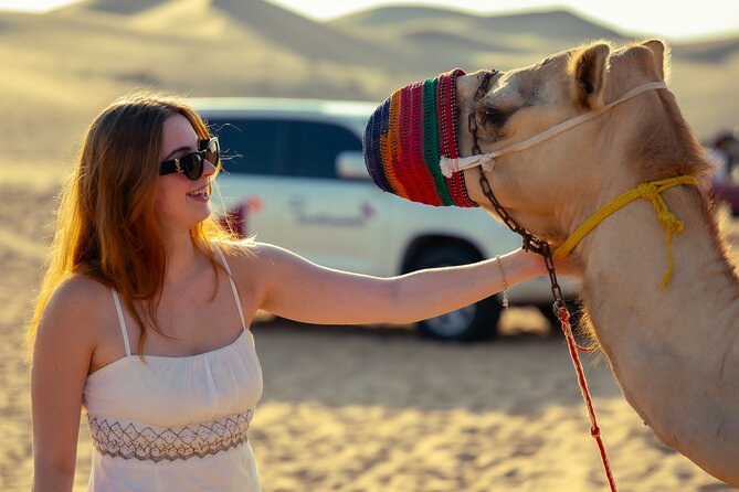 Abu Dhabi Evening Desert Safari - Private car Dune bashing & BBQ - Dinner at the remote camp: unlimited BBQ and the show schedule