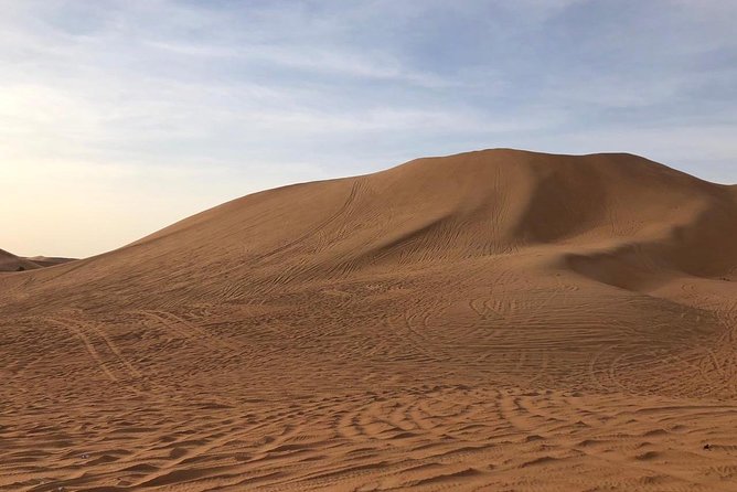 Abu Dhabi morning desert safari - Private car - Guides and group comfort: what makes the ride feel easy