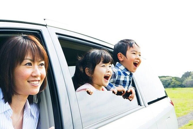 Anaheim Resort Private Car Service to Los Angeles - Luggage and family needs: what’s included, what might cost extra