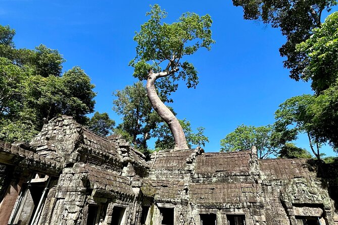 Angkor Wat 1-Day Tour by Private Car or Minivan - Entering Angkor Wat: what your guide helps you see