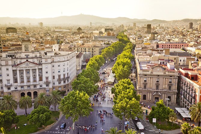 Arrival Transfer from Barcelona Airport BCN to Barcelona in Private Car/Van - Should You Book This Barcelona Airport Transfer?