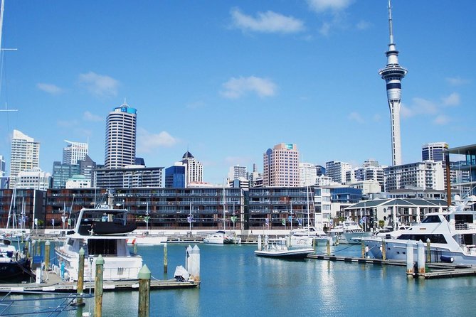 Auckland City Private Tour for Couples. Be chauffeur driven with added extras. - Parnell Rose Gardens and Westhaven marina: pretty streets, yachts, and harbour-bridge angles