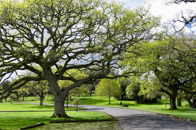 Auckland City Private Tour for Couples. Be chauffeur driven with added extras. - Devonport and North Head: bayside village time and big volcanic viewpoint energy