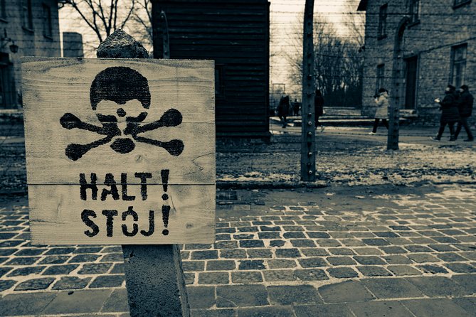 Auschwitz-Birkenau and Wieliczka Salt Mine Day Tour from Krakow with private car - What’s included (and what isn’t) so you don’t get surprised