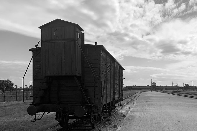 Auschwitz-Birkenau guided tour from Krakow - private car - What the English Guide Changes (A Lot)