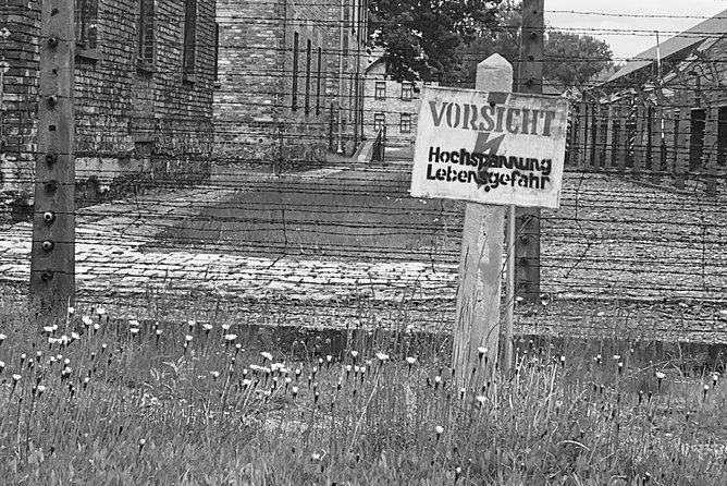 Auschwitz-Birkenau guided tour from Krakow - private car - Price and Value: What You’re Actually Paying For