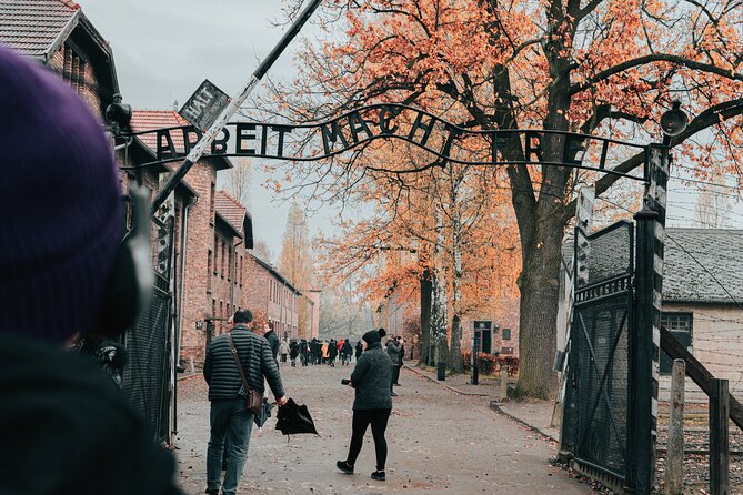 Auschwitz Birkenau guided tour from Krakow private chauffeur - Krakow chauffeur to Auschwitz: how the day really flows