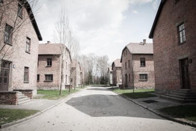 Auschwitz Birkenau guided tour from Krakow private chauffeur - Timing and entry windows: the one detail that affects everything