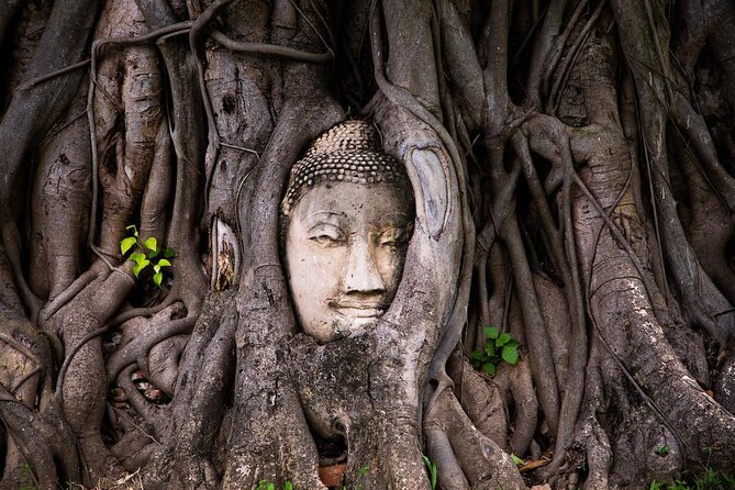 Ayutthaya Historical Park Private Car Service (No guide) - Key Things to Know Before You Go